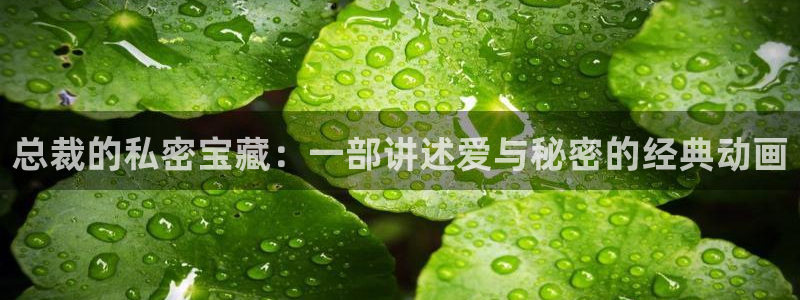 里番动漫在线视频：总裁的私密宝藏：一部讲述爱与秘密的经典动画