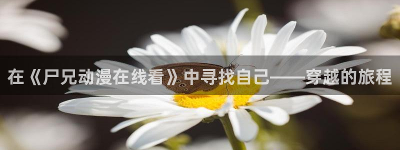 日漫里番推荐