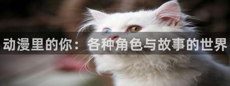 里番动漫高清在线观看