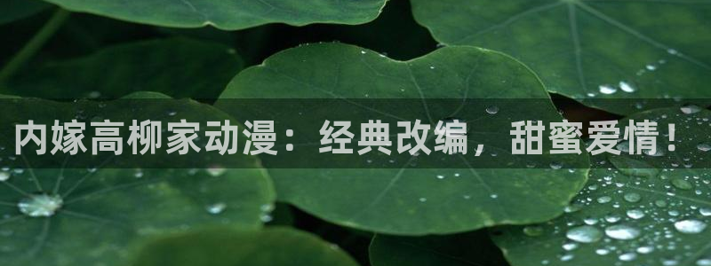 人妻里番动漫