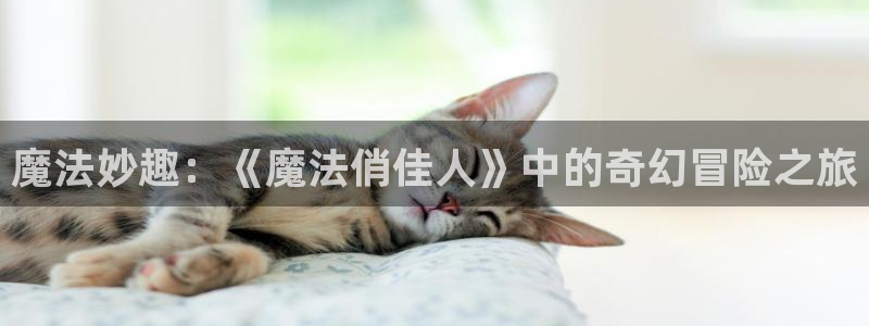 acg里番同人漫画