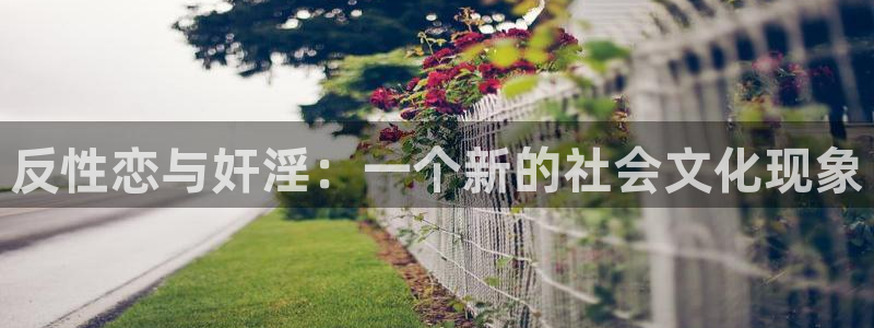 动漫电影里番