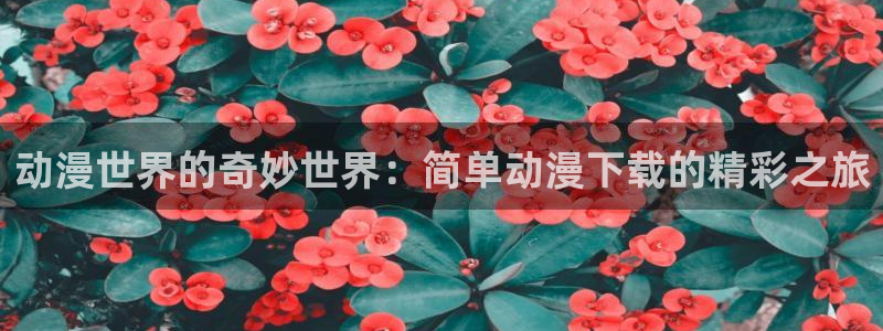 漫画acg里番：动漫世界的奇妙世界：简单动漫下载的精彩之旅