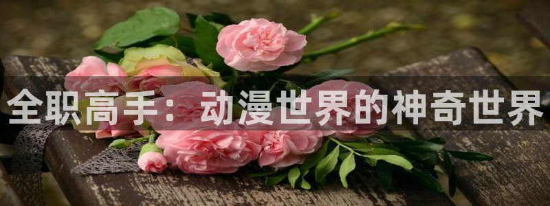 涩里番漫画平台：全职高手：动漫世界的神奇世界