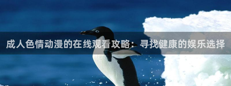 www.里番动漫：成人色情动漫的在线观看攻略：寻找健康的娱乐选择