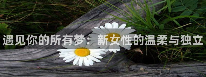 h里番动漫