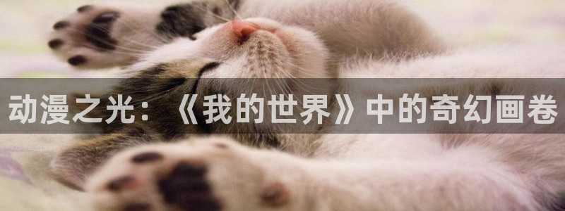 h里番动漫