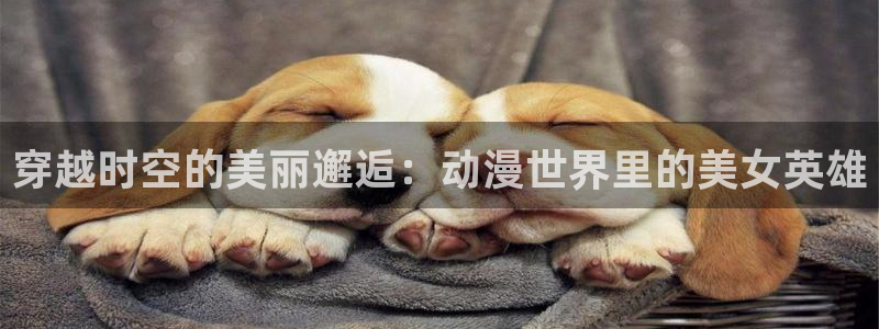 高清里番