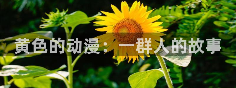 动漫里番