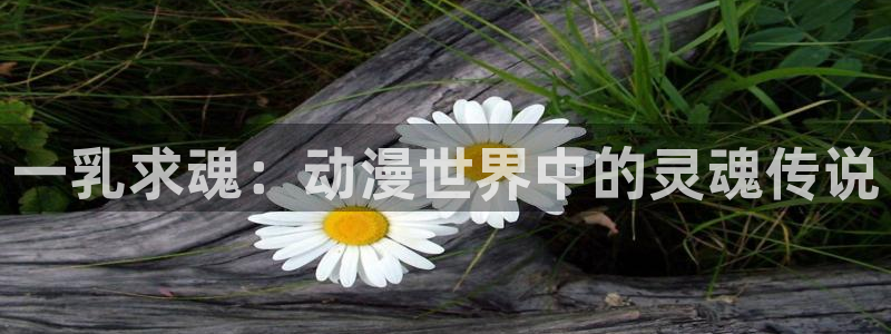 里番漫在线