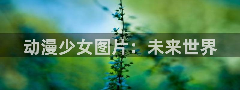 肉里番动漫