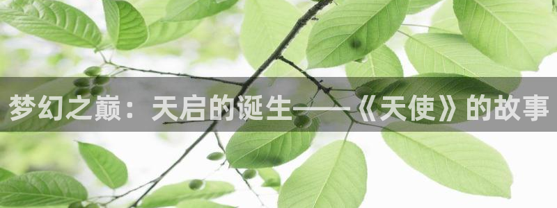 里番网站动漫