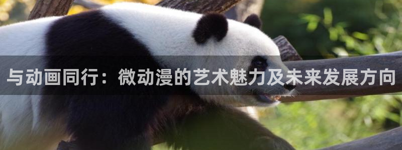 里番动漫：与动画同行：微动漫的艺术魅力及未来发展方向