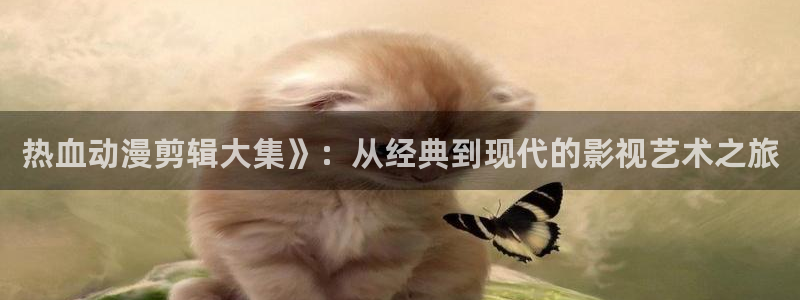 里番动漫图片：热血动漫剪辑大集》：从经典到现代的影视艺术之旅