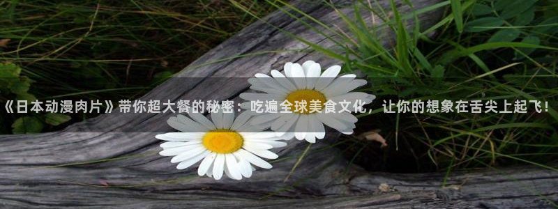 里番经典：《日本动漫肉片》带你超大餐的秘密：吃遍全球美食文化，让你的想象在舌尖上起飞！